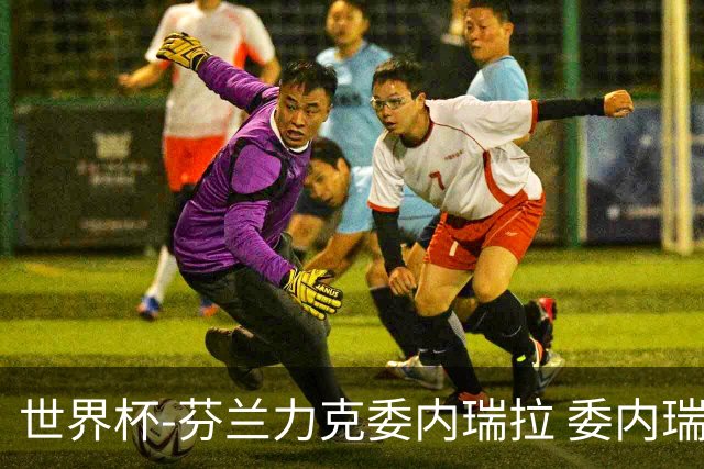 世界杯-芬兰力克委内瑞拉 委内瑞拉0胜5负告别