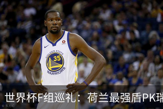 世界杯F组巡礼：荷兰最强盾PK瑞典犀利刀 日本短板明显