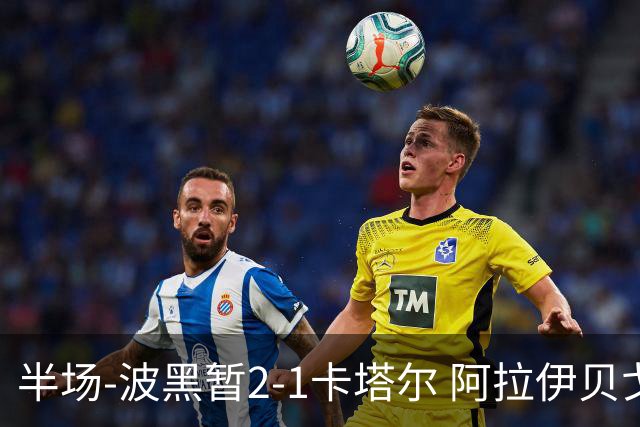半场-波黑暂2-1卡塔尔 阿拉伊贝戈维奇世界波破门哲科造乌龙