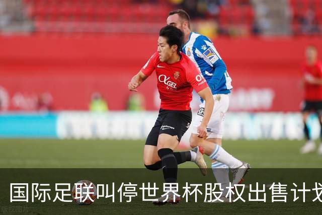 国际足联叫停世界杯股权出售计划
