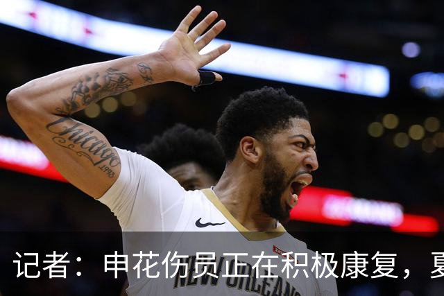 记者：申花伤员正在积极康复，夏窗人员调整工作稳步推进中