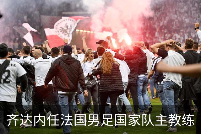 齐达内任法国男足国家队主教练